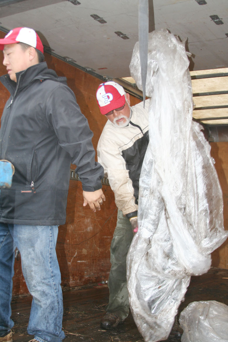 032809-mulch (33).jpg